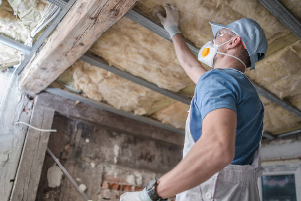 Best Best Insulation Companies  in USA